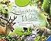 Produktbild Zauberklang des Waldes: Mit vielen verschiedenen Tierstimmen