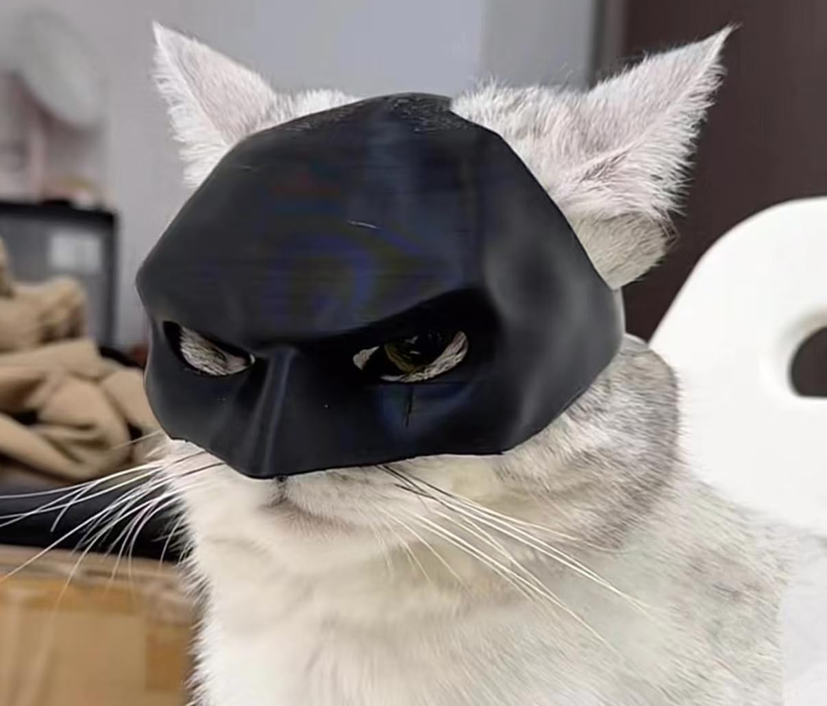 Máscara De Murciélago Para Gatos – Disfraz Halloween, Cosplay, Impresión 3D | Tallas 10 Cm Y 12 Cm, De Plástico