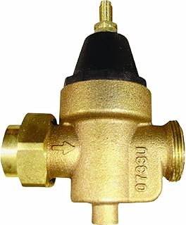 WATTS REGULATOR CO LFN45BM1-U-S FPT Stainless Steel Strainer, 1