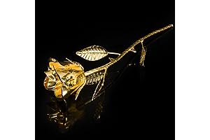 Rose Golden: Handcrafted Eternity Rose Gift