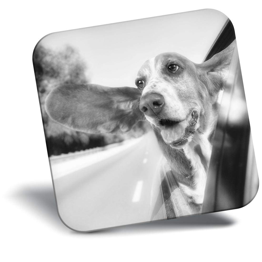 Destination Vinyl ltd Fridge Magnet bw - Funny Basset Hound Dog Pets #39498
