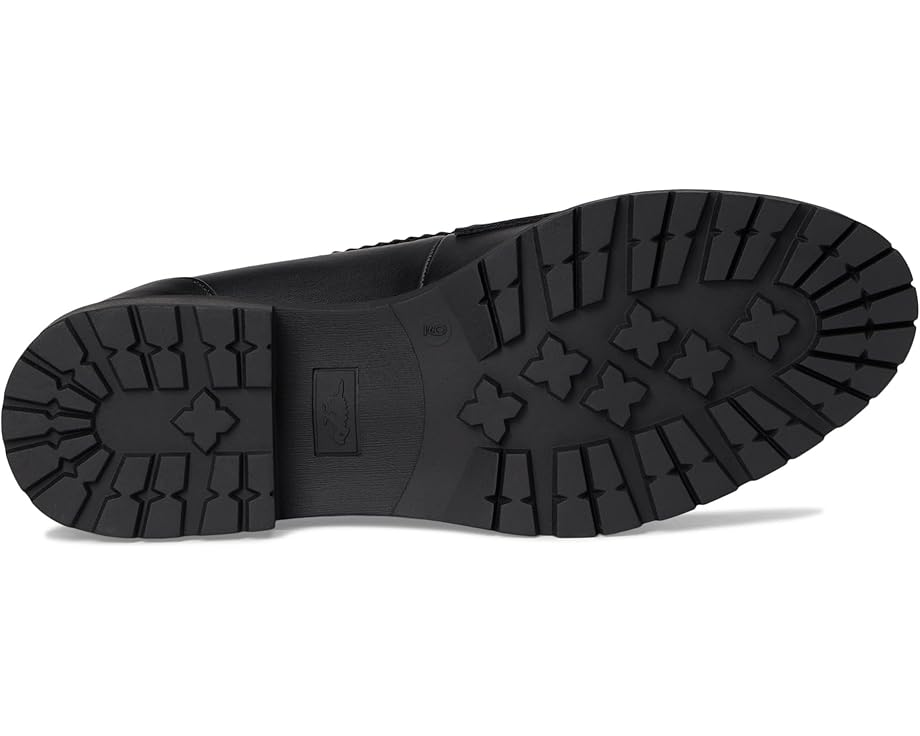 Rocket Dog North - Bottom View