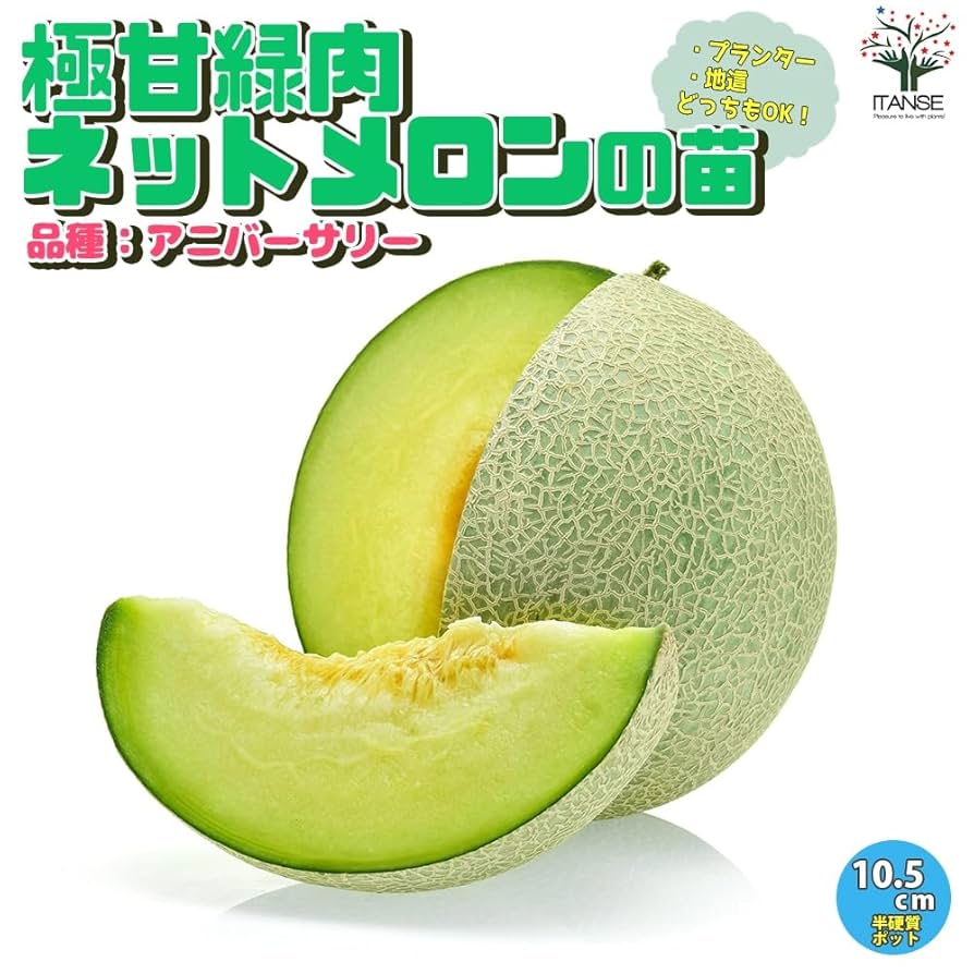 新鮮な緑色メロン 幻の希少メロン】ナイルメロンを丸ごと味わう衝撃スイーツ