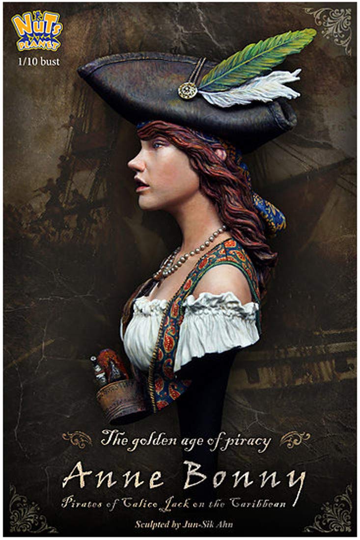 Amazon.co.jp: Nuts Planet NP-B014 1/10 Modern Woman Pirate Anne