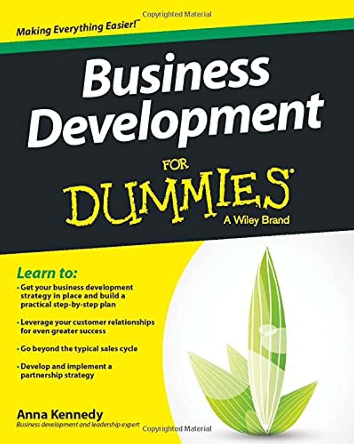 Business Development For Dummies Paperback – Big Book, 6 March 2015
