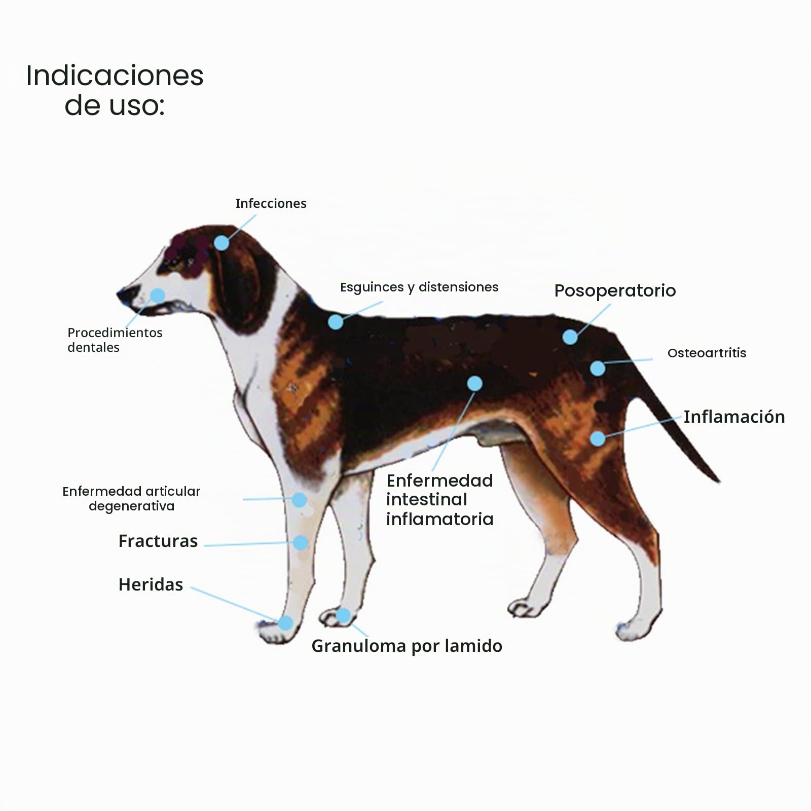 iKeener Dispositivo de terapia para mascotas/veterinarios, (4 x 808 nm), terapia láser fría, alivia el dolor muscular y articular de animales, dispositivo de terapia portátil con luz roja para