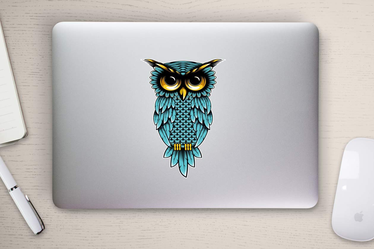 Vinyl Junkie Graphics Owl Blue Teal Sticker/Decal
