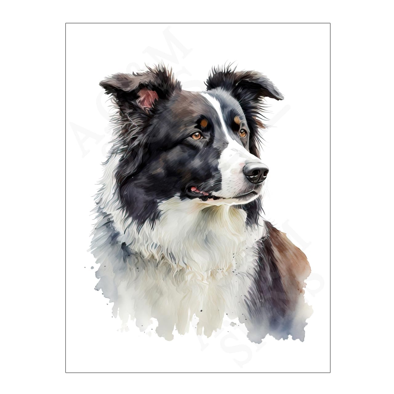 Metal Wall Art Border Collie Print Sign Picture Plaque Dog Breed Prints Signs Home Décor Living Room Kitchen House Bedroom Bathroom Décor Gift 15766 (10.6 x 8 inches (27cm x 20cm))