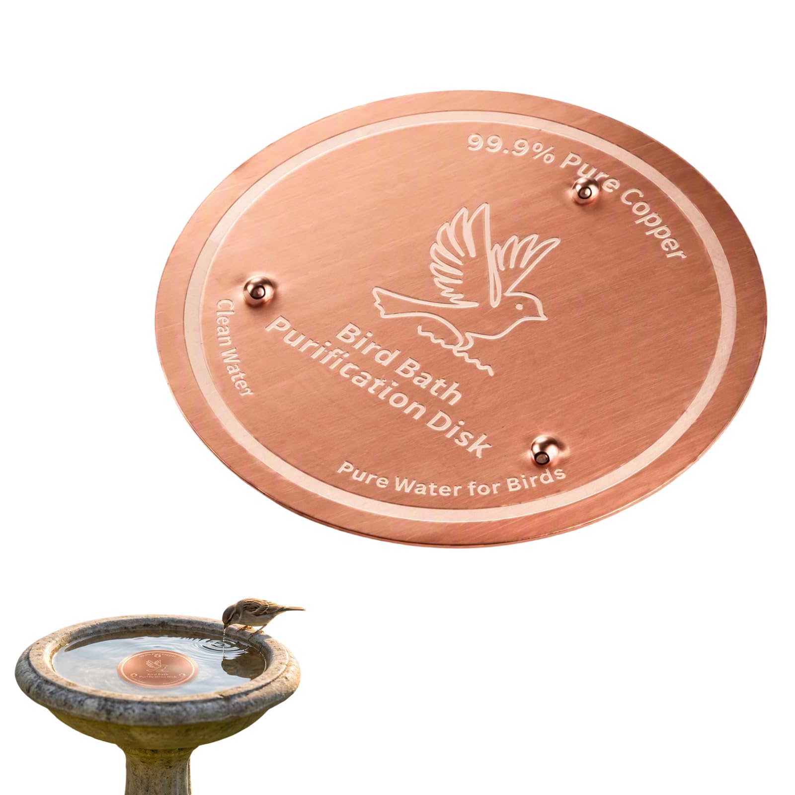 Elovara Pure Copper Bird Bath Purification Disc, Natural Water Cleaner