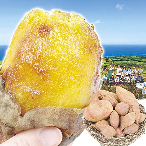 さつまいも 生芋 5kg 種子島産 安納芋（極ちび）規格外 あんのう 蜜芋 たねがしま 薩摩芋 食品