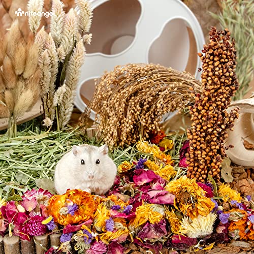 Image of Niteangel Natural & Soft Hamster Bedding Mate Small Animal Habitat Decor for Syrian Dwarf Hamsters Gerbils Mice Degus Bunny or Other Small-Sized Pet (Flowers Scent Path)