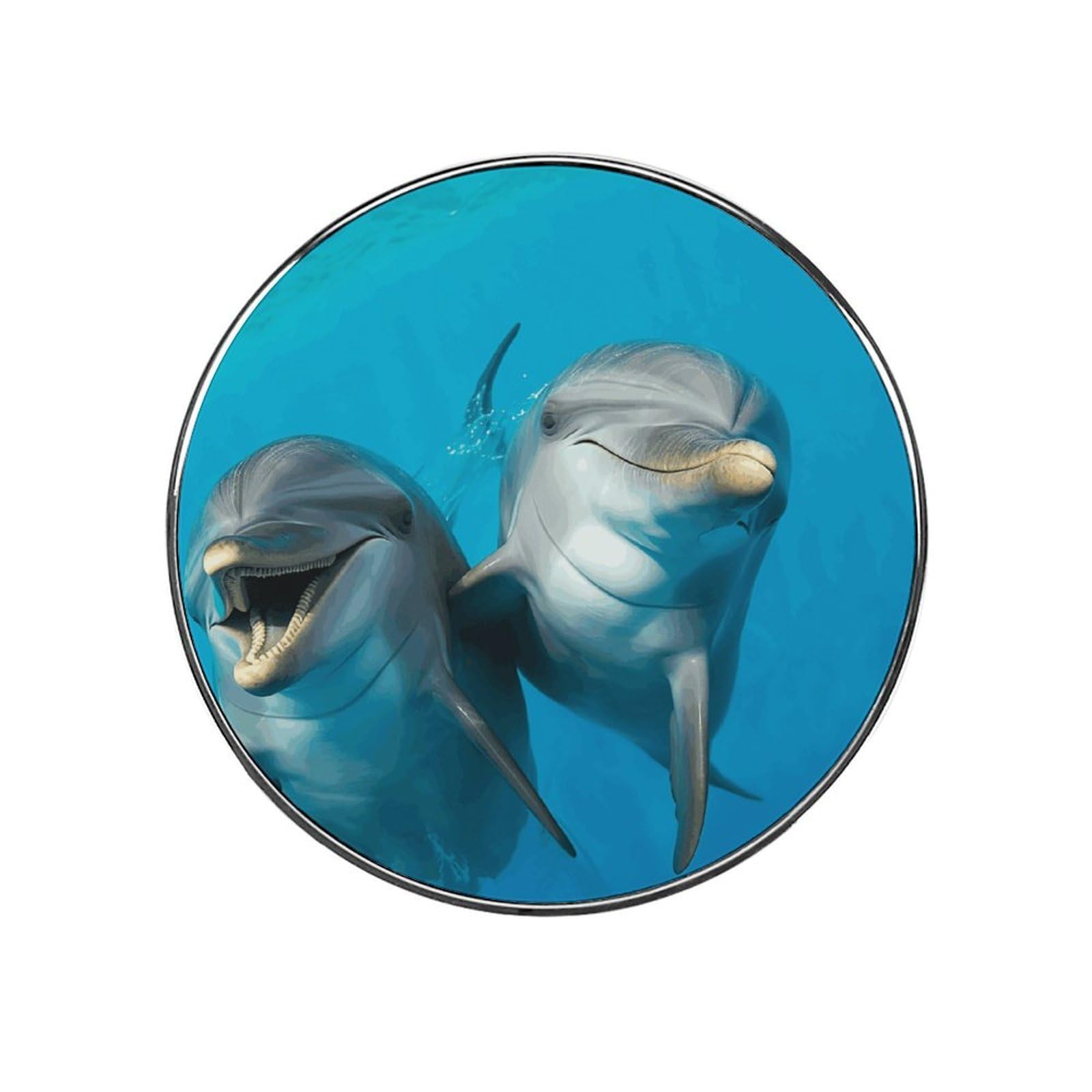 Adfgyerh Style Smiling Face Dolphins Refrigerator Magnets Circular Design，Stickers Home Decorations，Fridge Magnets For Fridge Plant Lovers Kitchen Office Locker Whiteboard Car Garage Decor.