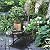 Outvita Metal Garden Bridge for Outdoor, Elegant Decorative Bridge with Powder-Coated Finish and Security Guardrail for Patio Pond Backyard Landscaping (Modern)