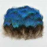 Artisanat en plumes de paon : tous nos articles en plumes de paon ont été professionnellement nettoyés, vaporisés et désinfectés à 100 % de haute qualité. Ces plumes de paon sont belles, colorées, douces et légères. Les plumes de paon sont strictement sélectionnées par criblage manuel des plumes et traitées à haute température, très sûres.