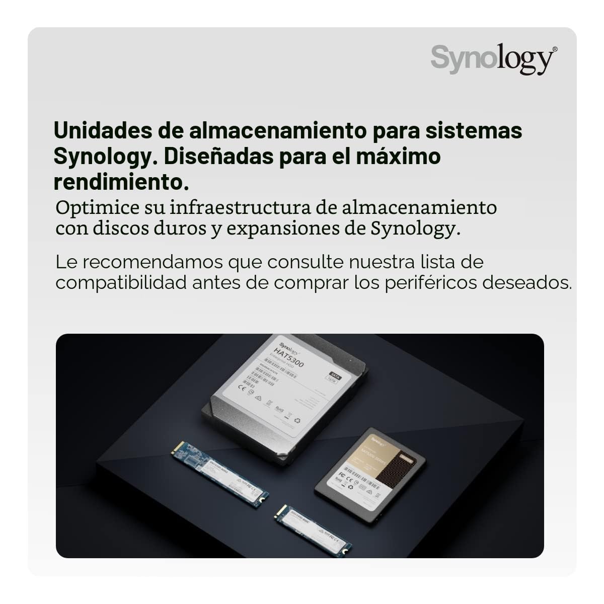 Synology DISKSTATION DS920+