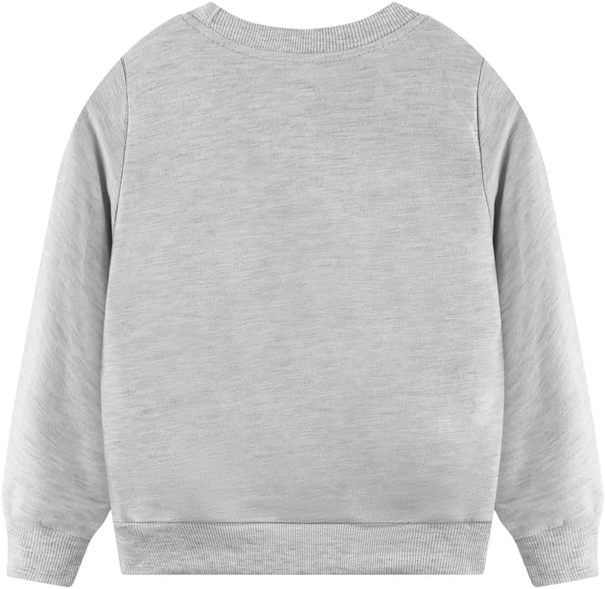 Popshion Toddler Boys Sweatshirts Dinosaur Long Sleeve Pullover Crewneck Shirts Cartoon Tee Sport Tops for Kids 1-8T
