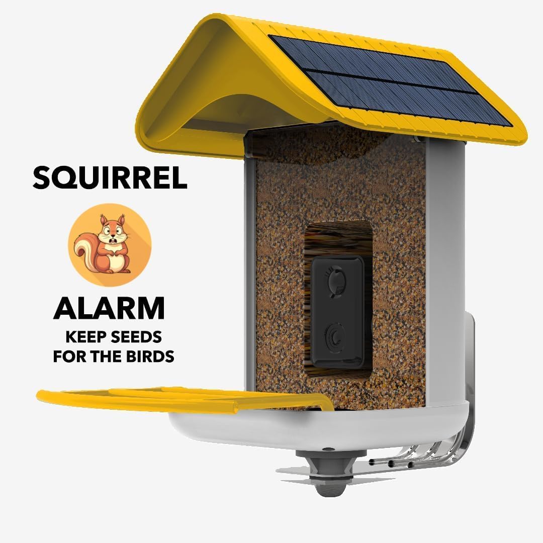 Smart Bird Feeder with Camera Solar Powered - 1080P HD Video Bird House with Lifetime Free AI Identify 10,000+ Species, Squirrel Proof Alarm, Color Night Vision, No Subscription, Gift for Bird Lovers