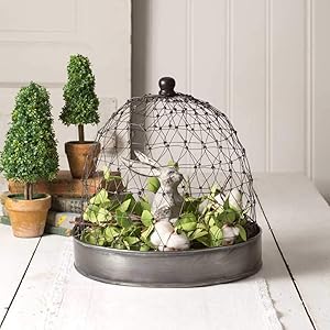 CTW Home Collection French Chicken Wire Cloche with Tray (1)