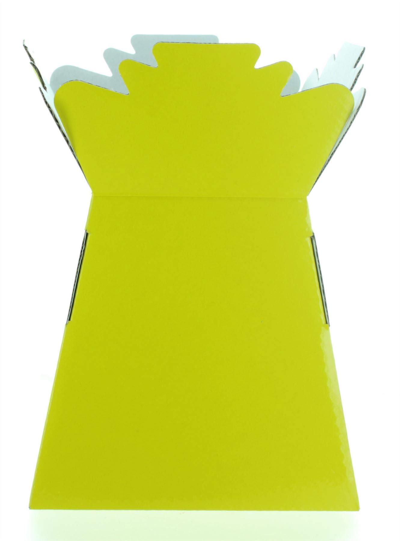 Hand-Tied Vase Florist Bouquet Boxes | Aqua Presentation & Transporter Boxes | Pack of 30 | Durable Flower & Plant Packaging | Glossy Yellow