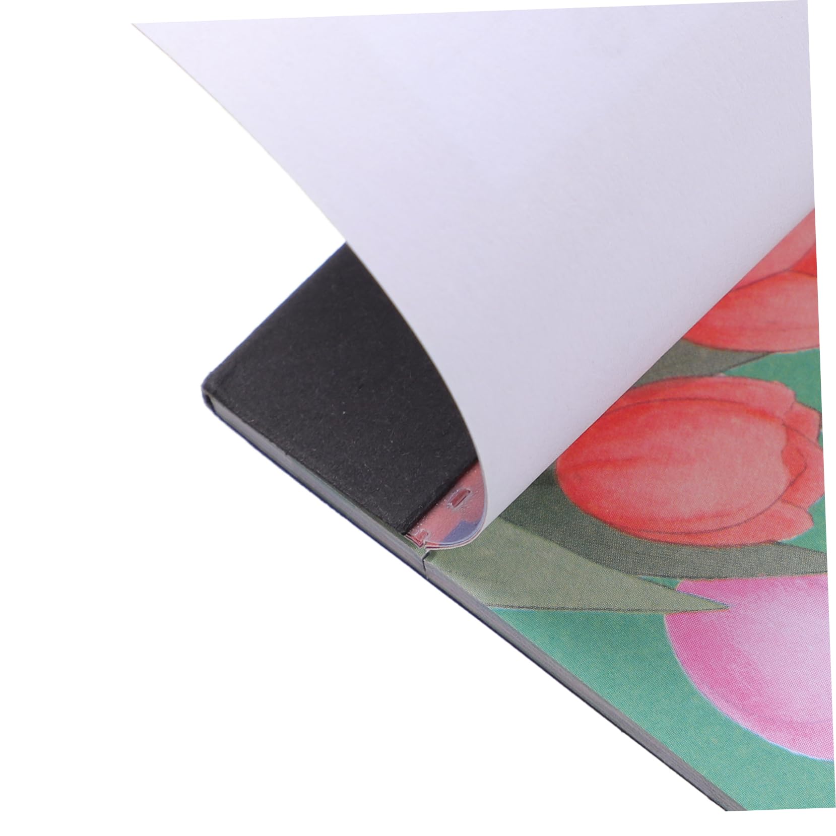 Lurrose 5 Pz Programma 2022 Calendario 2022 Mensile Planner Da Parete 2022 Calendario Da Appendere Per La Casa Pianificatore Annuale Annuale Di 12 Mesi Ufficio Carta Da Lettere Da 120 g