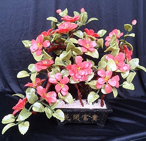 20" Jade Bonsai Camellia Flowers F567