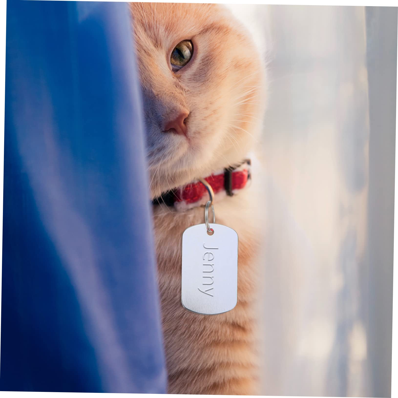 Happyyami 120pezzi Medagliette Per Animali Domestici Tag Identificativi Personalizzabili Per Cani Gatti e Piccoli Animali Per Fai Da Te