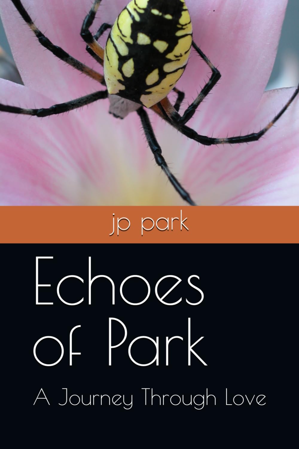 Echoes of Park: A Journey Through Love