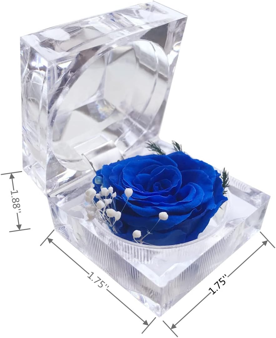 Preserved Rose Real Forever Rose in Mini Clear Ring Box, Eternal Flower Rose Gifts for Women Mom Girlfriend Grandma, Mothers Day, Anniversary, Valentines, Christmas, Birthday (Blue) - Image 3