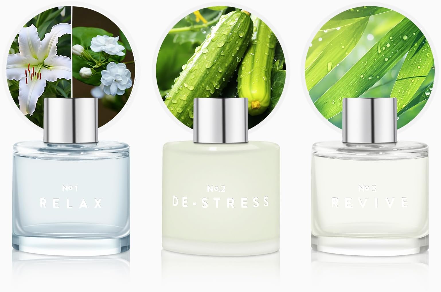 3 Set of Reed Diffusers, 5.07 oz Reed Diffusers with 12 Black Fiber Sticks, 150 ml Jasmine Lily Cucumber Bamboo Scent Diffuser for Home,Long Lasting up to 90 Days