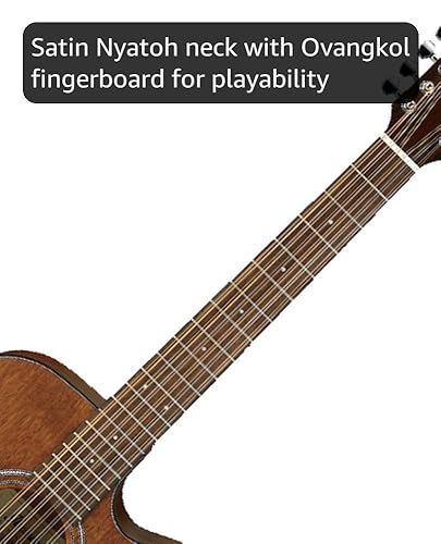Amazon.com: Ibanez AW5412CE - Open Pore Natural : Musical Instruments