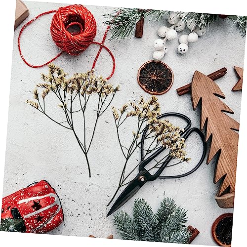 Flor Prensada para Decoración y Manualidades miniatura 2