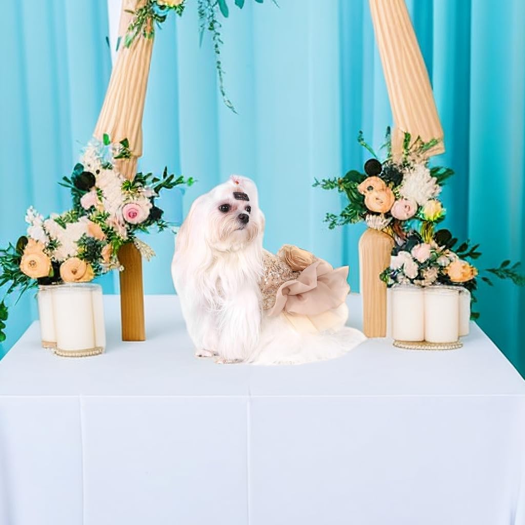 Abito da sposa per cani con paillettes e gilet in pizzo tutu XL oro