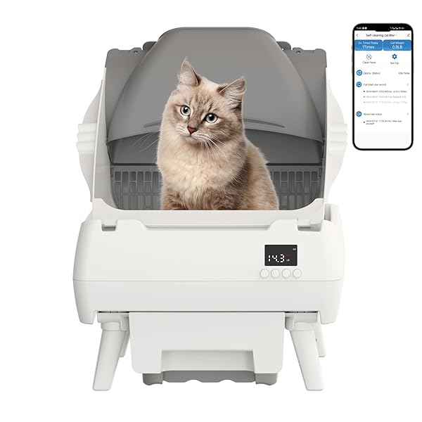 Automatic Cat Litter Box Self Cleaning - App Control, Open-Design, Smart Health Monitor, Suitable for Medium Cats and Kittens, Anti-Pinch Safety, Quiet Operation, A Trusted Companion for Life - White