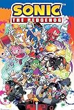 Sonic The Hedgehog - Gaming Poster (The Gang) (Size: 24' x 36')