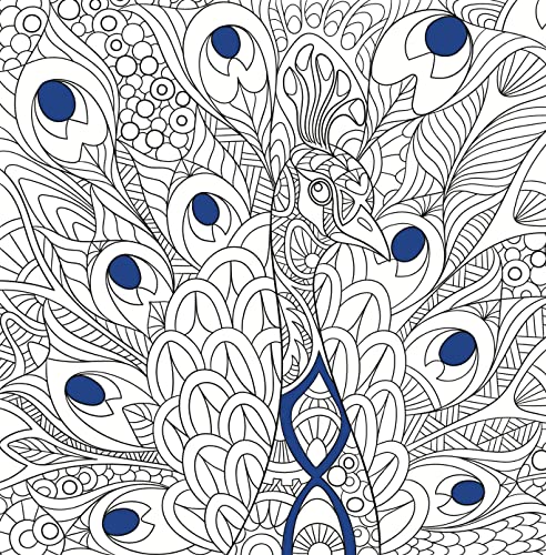 Colorful World - Das blaue Wunder: Ausmalen & träumen (Colorful World (Ausmalbücher))