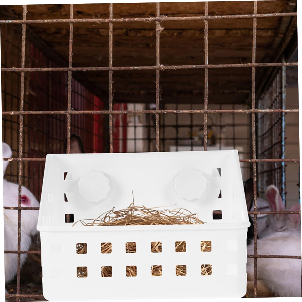 BESPORTBLE 4piezas Comedero De Heno para Conejos y Roedores Alimentador De Pasto Reutilizable Accesorio De Jaula Fácil De Instalar para Conejillos De Indias Chinchillas y Conejos