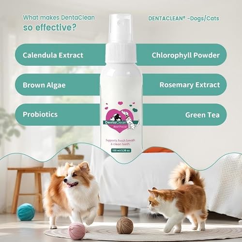 Srcasy DentaClean Spray for Dogs & Cats, No-Brush Plaque & Tartar Remover, Breath Freshener, Dentaclean for Dogs, Supports Daily Denta Hygiene, Easy Spray Use, 100ml - Image 3