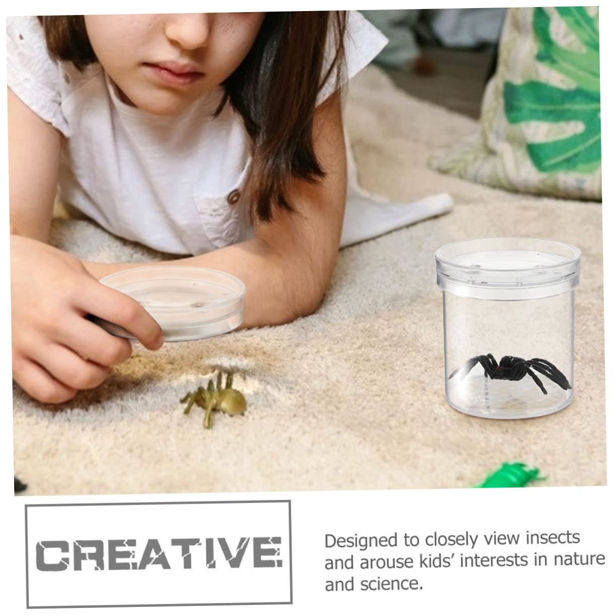 Caja de Aumento para Insectos de Plástico 15 Piezas Rejillas