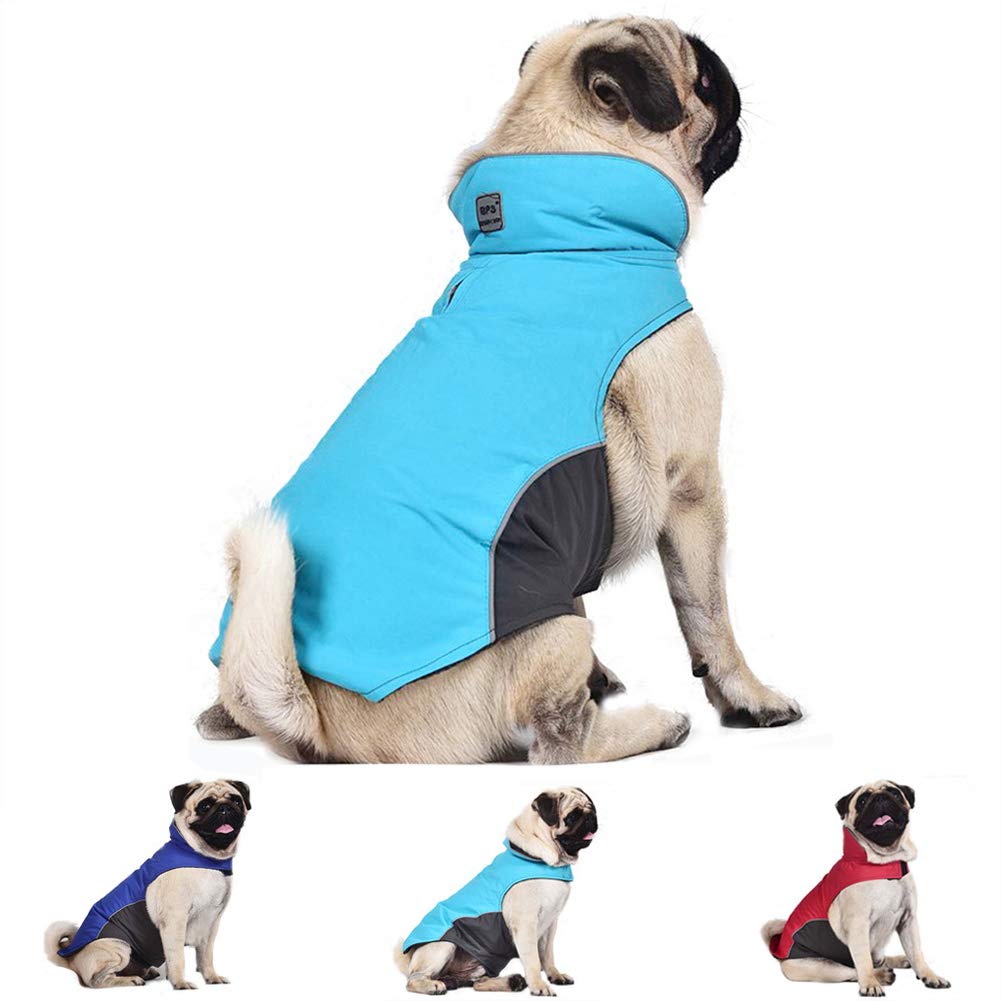 Manteau d'hiver pour chien idéal pour balades sous la pluie