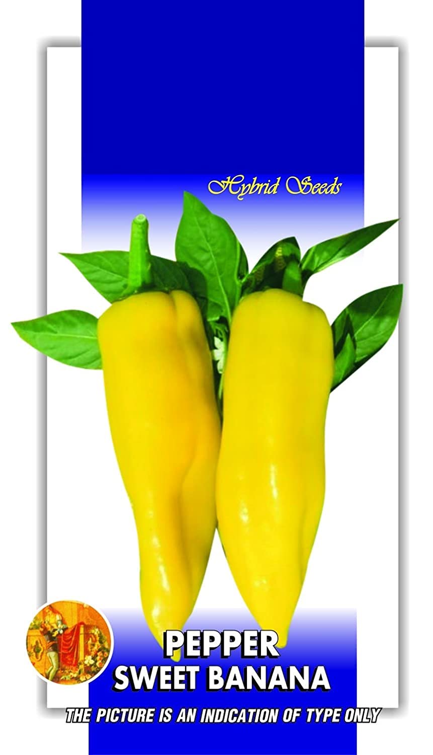 ® XX-1077-Sweet Pepper, Bell Pepper, Green Chilli Organic Kitchen Garden Seeds