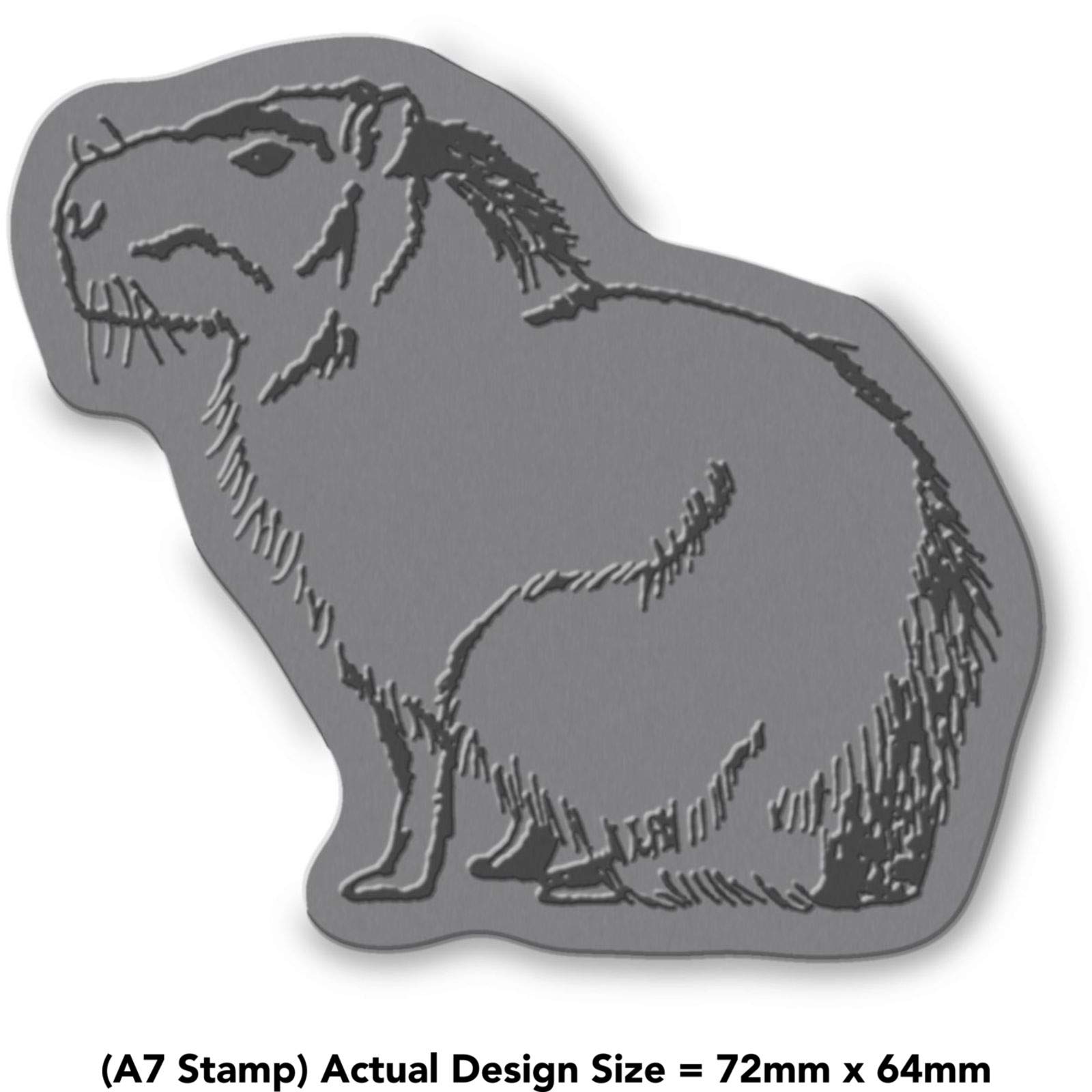 'Sitting Capybara' Rubber Stamp - Unmounted Design for Crafting & Scrapbooking, A7 (RS00012852)