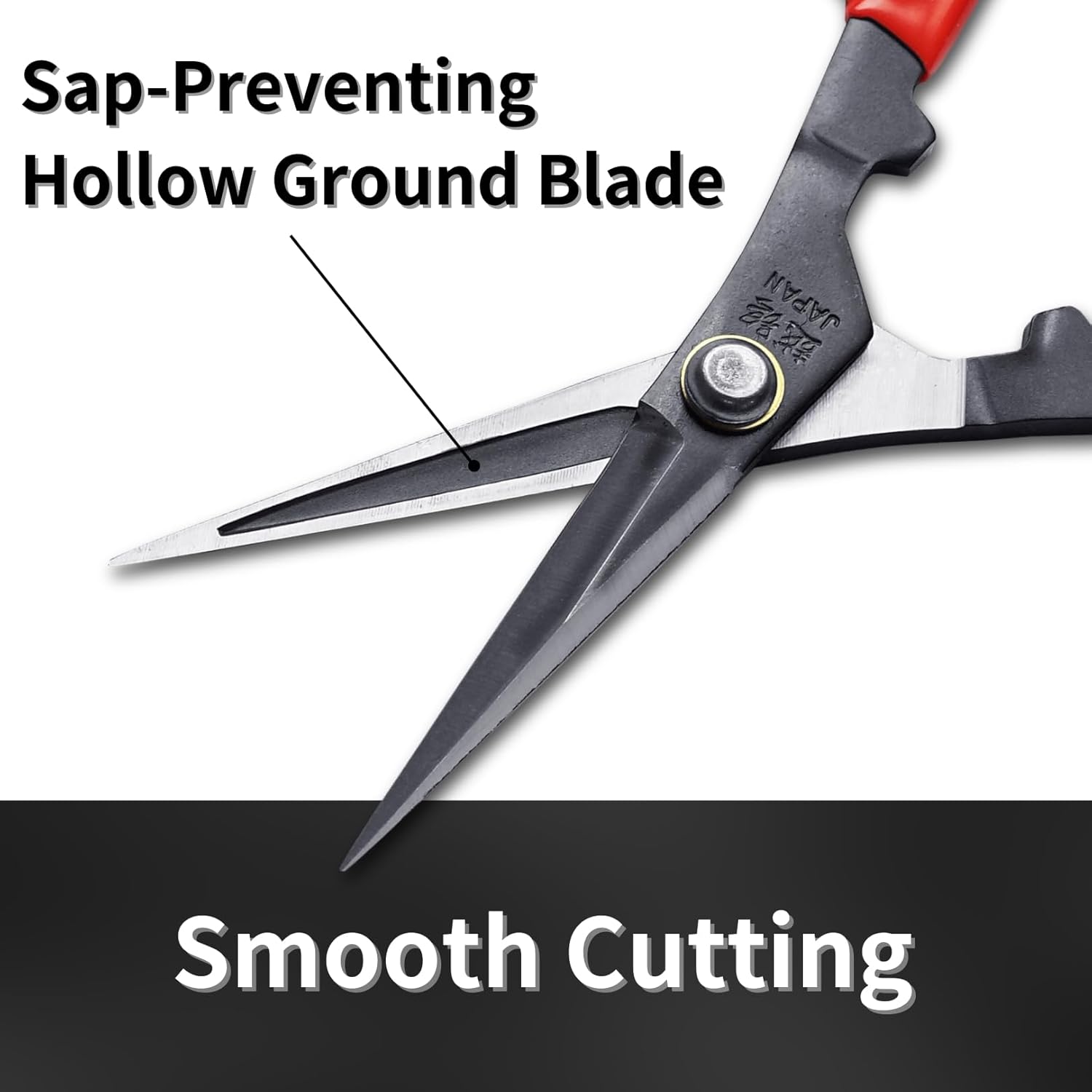 Grape Thinning Scissors 6.8” Pointed Tips, Professional Garden Scissors for Trimming, Thinning, Harvesting, Japanese Carbon Steel Blade, Made in JAPAN