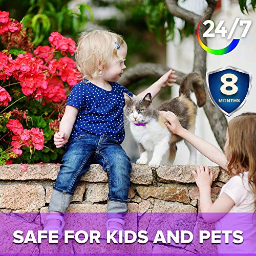 flea collars safe around babies