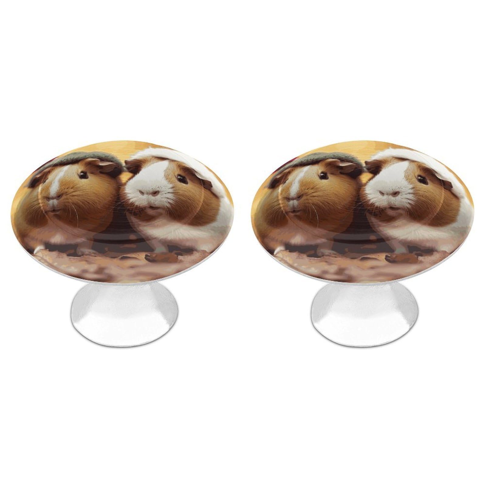 DWVTSLH Cute Guinea Pigs Cabinet Handles 2 Pack Stainless Steel Kitchen Drawer Pulls with Installation Screws Round Dresser Drawer Knobs 1.1 Inch Modern Cabinet Hardware Door Handles