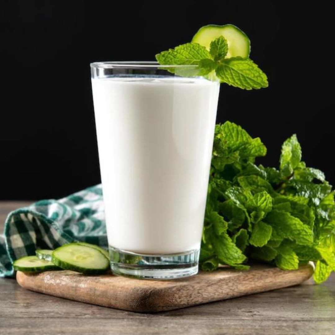 Suntat, Joghurtgetränk Ayran anatolischer Joghurt-Drink Nach Anatolischer Art, Sonderproduktionsgetränk 1000 Mililiter x 24er
