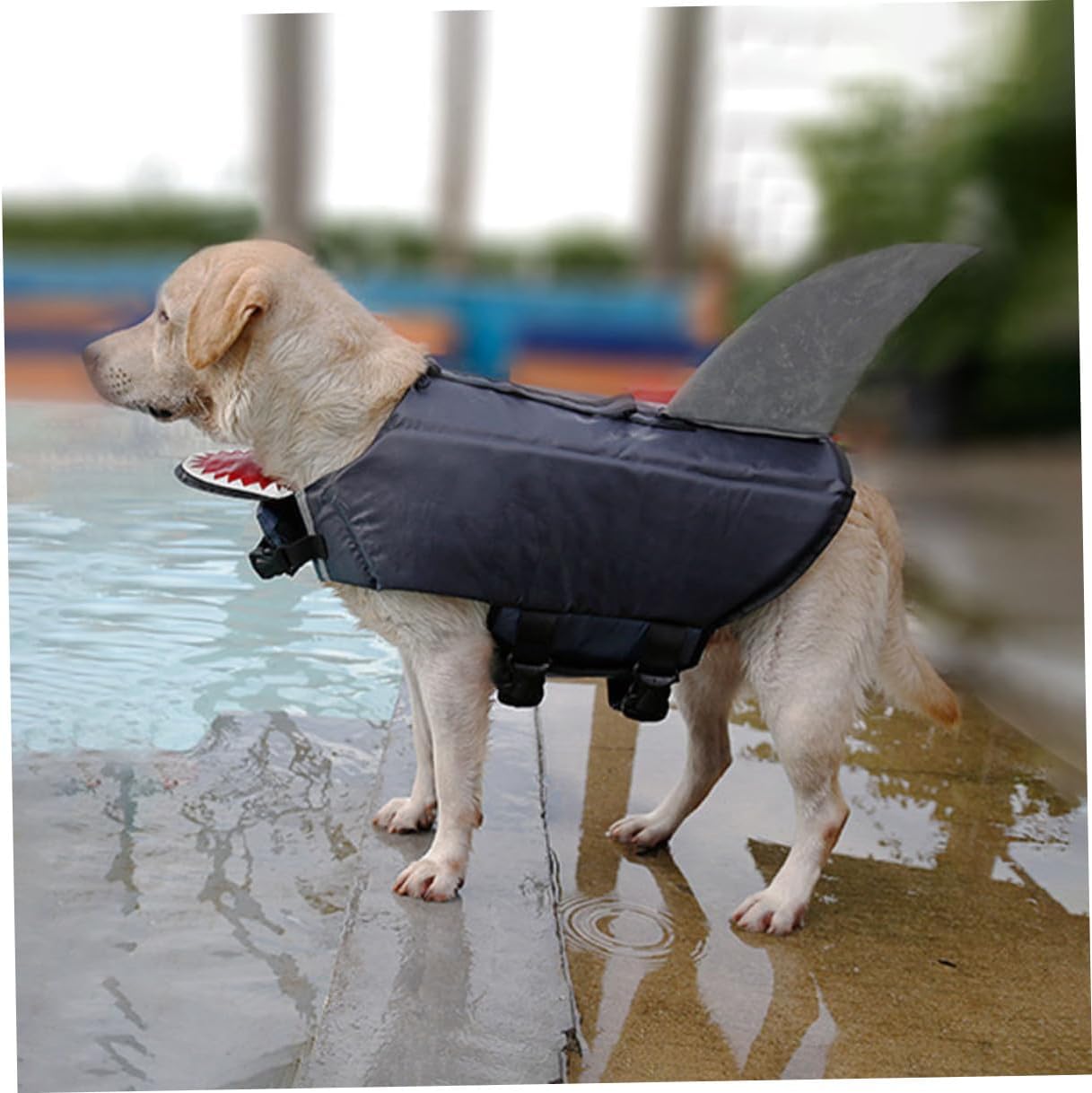 jojofuny Dog Shark Swim Vest Waterproof Reflective Life Jacket for Dogs XL Outdoor Training Pet Floating Vest