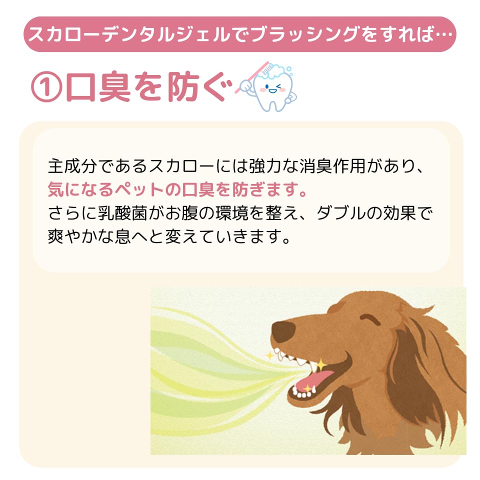 Amazon.co.jp: スカローデンタルジェル 無香料 犬 猫 歯磨き 40g×2 歯