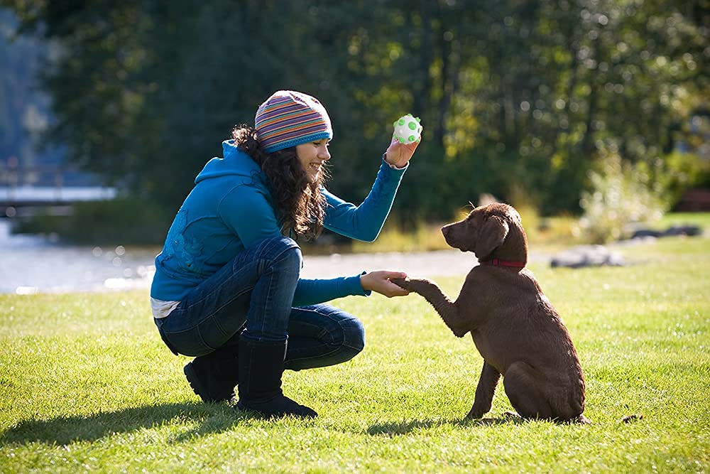 Hunde-Puzzle-Kauspielzeug Aus Naturkautschuk – Leckerli-Spender, Robust Für Große Hunde