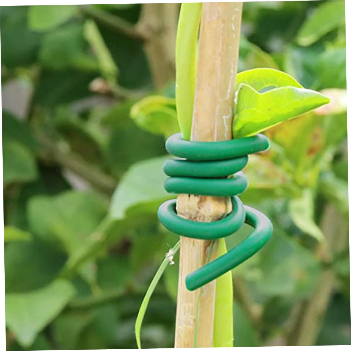 VILLCASE Fil de Jardin Flexible Vert en TPR et Fer pour Attacher Vigne et Plantes, 2 Rouleaux D'accessoires de Fixation Pratiques pour Jardinage et Sécurisation