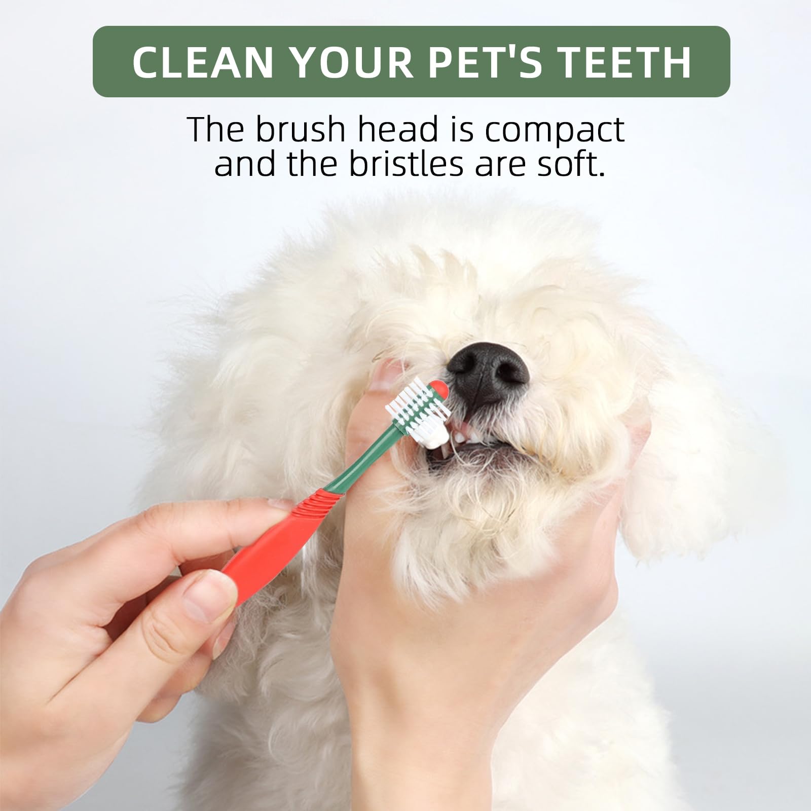 Dog Toothbrush Dental Care Kit,3 Set with Double-Headed and Finger Toothbrushes for Dogs and Cats, 2.47oz Toothpaste,Clean Pets' Teeth and Fresh Breath (Beef) - image 3